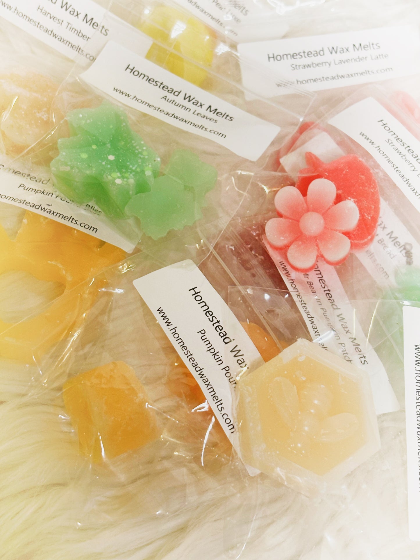 Fall Wax Melt Sample Boxes