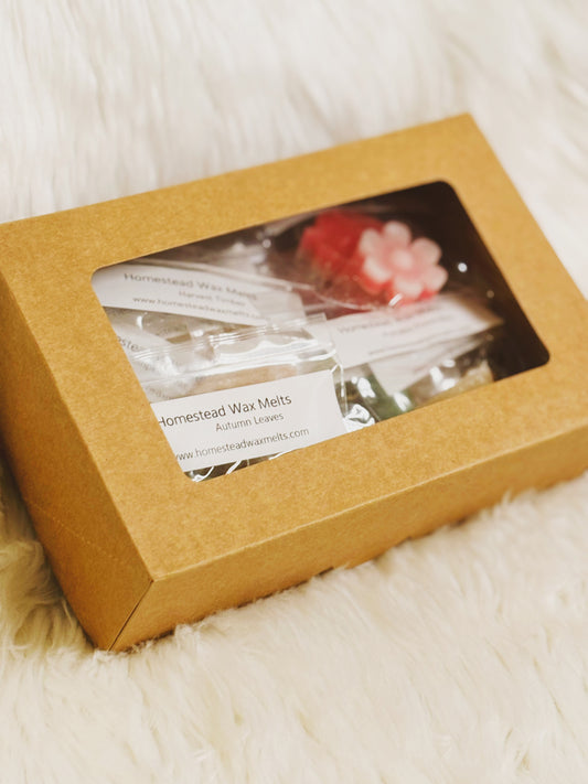 Fall Wax Melt Sample Boxes