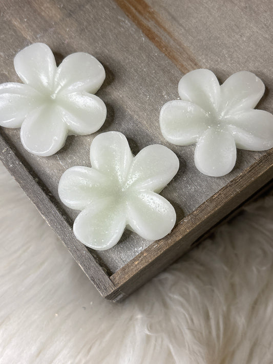 Spearmint Sanctuary Wax Melts