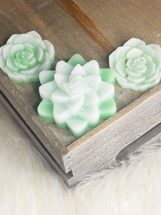 Baja Cactus Blossom Wax Melts