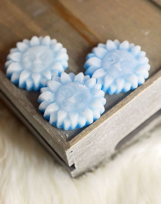 Beachwood Vetiver Wax Melts