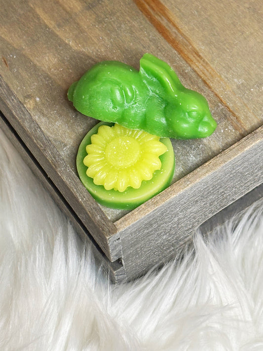 Sage & Citrus Wax Melts