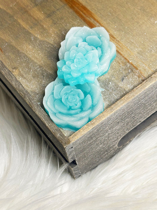 Aromatherapy Energizing Wax Melts