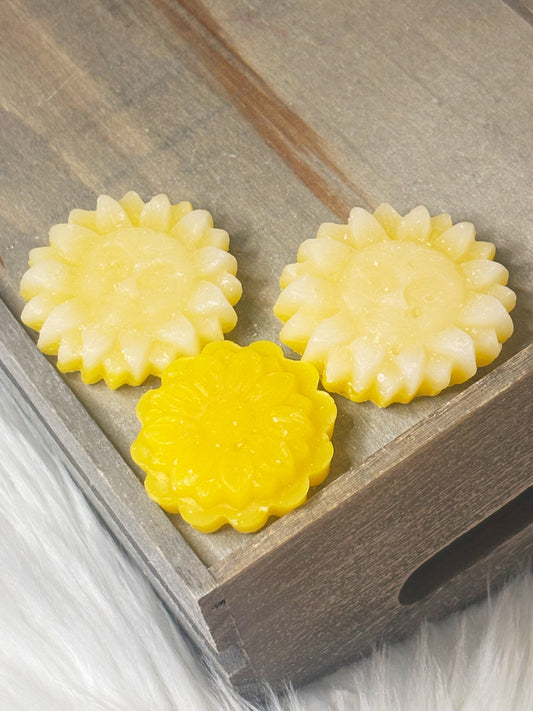 Dandelion Wishes Wax Melts