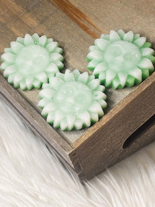 Eucalyptus & Spearmint Wax Melts